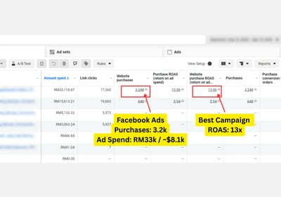 Facebook Ads: Best Campaign 13.06x ROAS, 3,248 Purchases - Online Advertising
