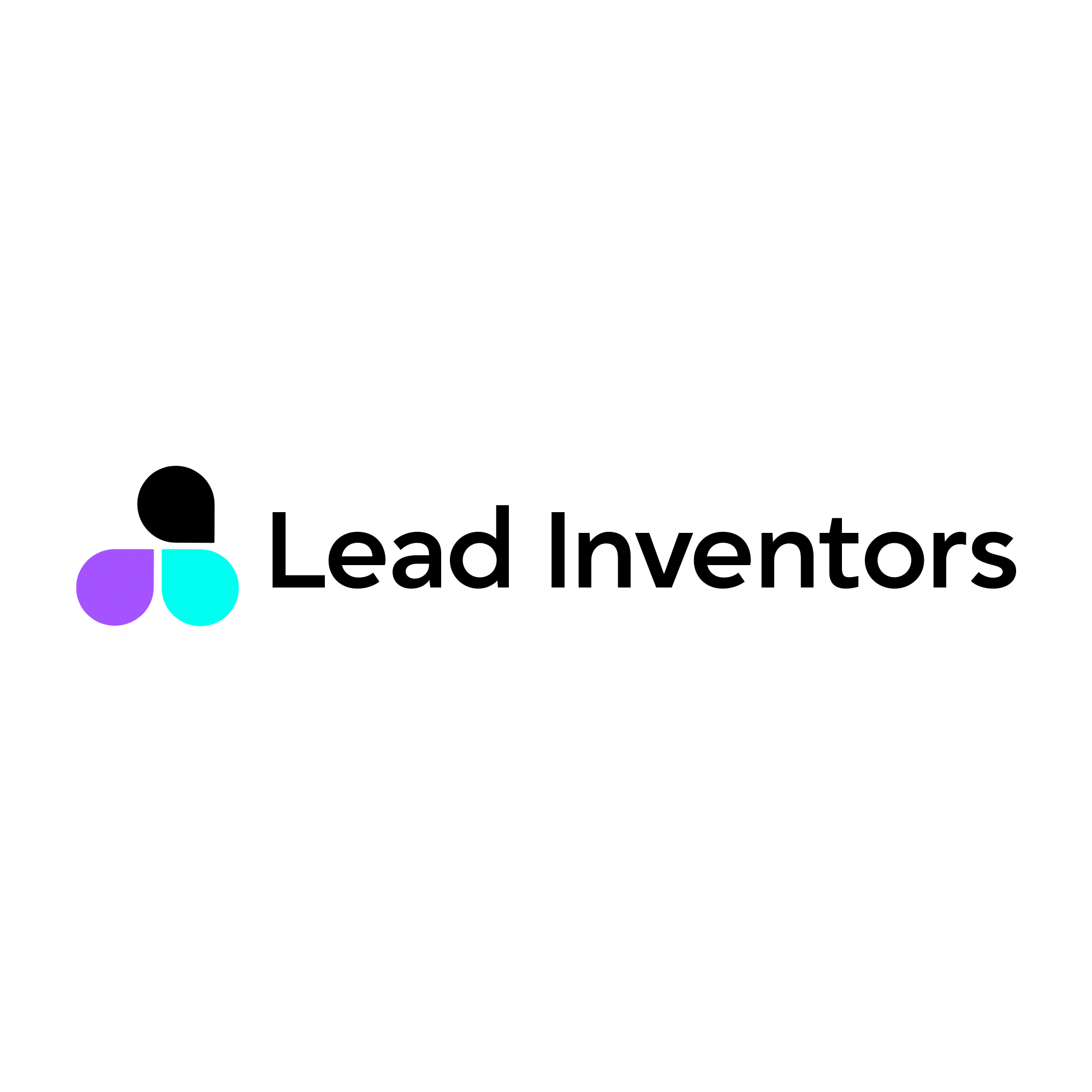 Lead Inventors
