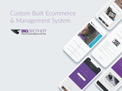 Big Brother Security - Web Design & Development - Web analytics / Big data