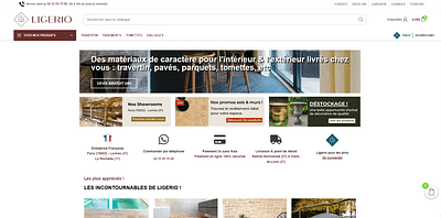 Référencement SEO - Ligerio - Référencement naturel