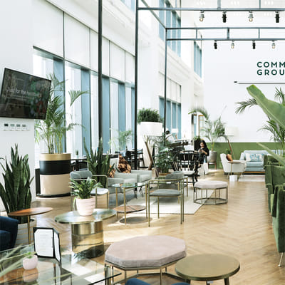 Common Ground - Branding & Positioning