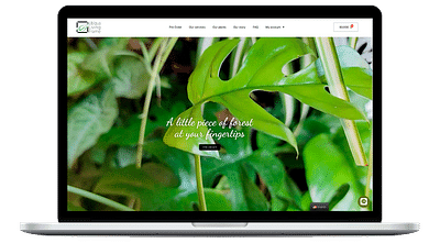 Ubiqua Living Frame eCommerce - Creazione di siti web