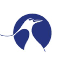 Bleu Banquise