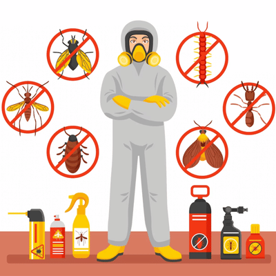 Website Development - Assess Pest Control - Webseitengestaltung