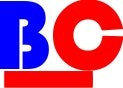 Bytevista Consulting
