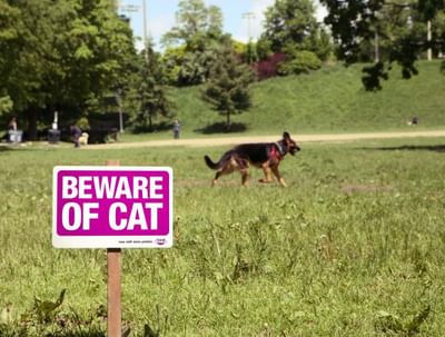Beware of cat – now with more protein. - Werbung