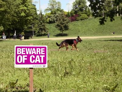 Beware of cat – now with more protein. - Advertising