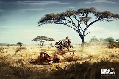 Lion & Zebra - Werbung