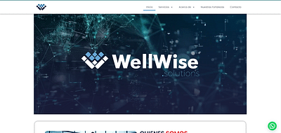 Website: Wellwise - Création de site internet