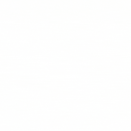 BIZ-digital-marketing.de