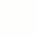 BIZ-digital-marketing.de logo