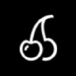 Senterprise Consulting logo