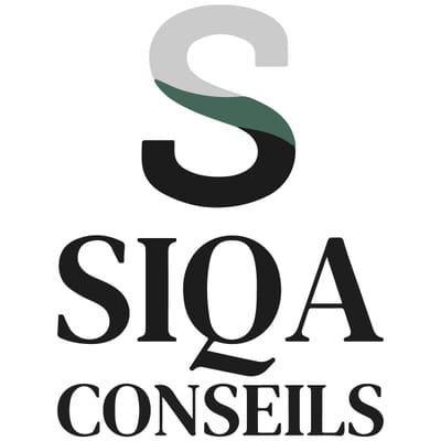 Refonte & optimisation SEO du site SIQA Conseils - Marketing