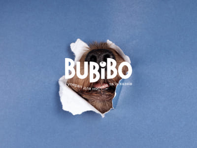 BuBiBo – All-in-one Pet Care App for Pet Owners and Professionals - Aplicación Web