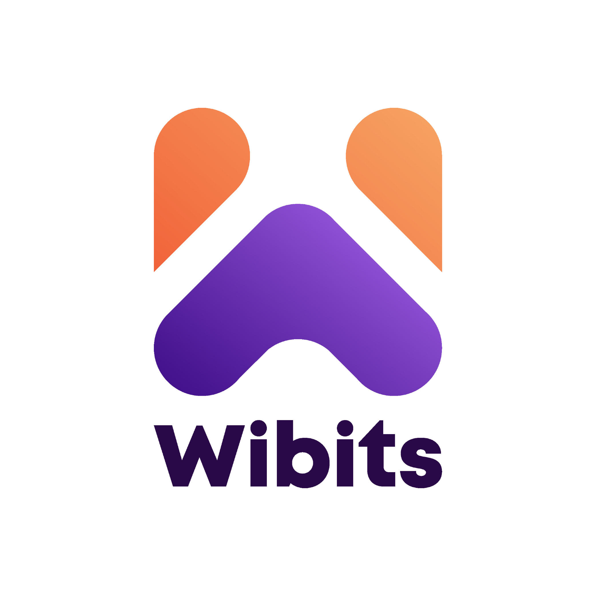 Wibits Web Solutions LLP