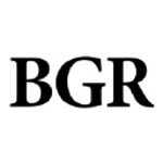 BGR Group