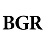 BGR Group