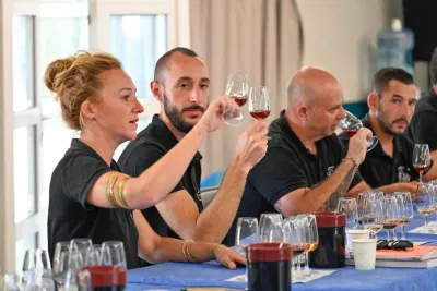 Installation sur la toile de La petite école du vin - Stratégie digitale