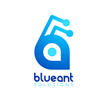 Blueant Solutions