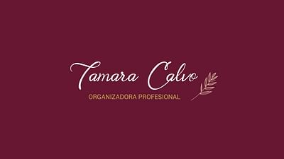 Rebranding Tamara Calvo, Organizadora Profesional