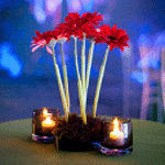 Carte Blanche Events