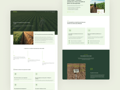 Kaïsu - Brand & Strategy - Website Creation