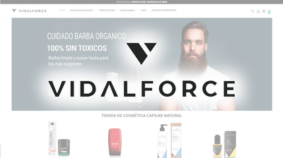 VIDALFORCE - SEO