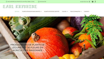 Site e-commerce - Earl Kryshine - Référencement naturel