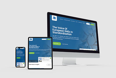 Small Business Standards Website Revamp - Digital Strategy