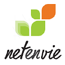 Netenvie - Agence web à Marseille et Martigues. logo