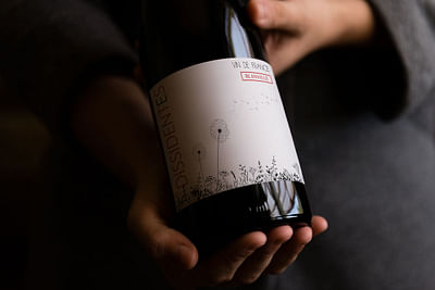 Chateau Haut Blanville - Création étiquette de vin - Image de marque & branding