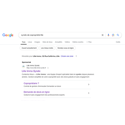 Lille Immo Syndic : Campagne Google Ads - Web analytique/Big data