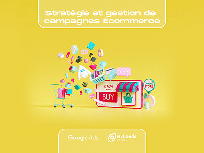 Stratégie et gestion de campagnes Ecommerce - Publicité