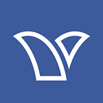 Dzneer