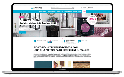 Peinture-Destock.com - Digital Strategy