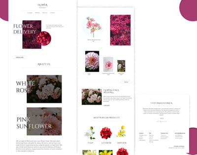 Website Development - Website Creation