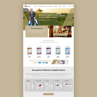 Site internet [Ecurie Welten] - Stratégie de contenu