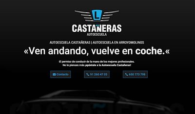 Diseño Web Autoescuela Castañeras