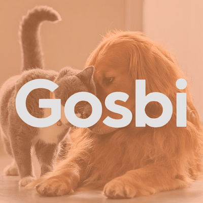 Acciones de comunicación para Gosbi - Pubbliche Relazioni (PR)