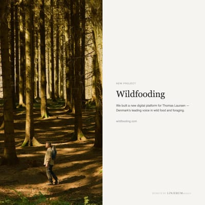 Wildfooding website - Aplicación Web