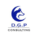 Dgp Consulting