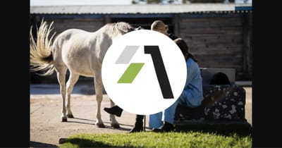 Vétérinaires Vaudois – Annuaire vétérinaire canton de Vaud - Design & graphisme
