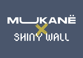 ShinyWall - Video Productie