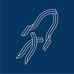 Apollo X