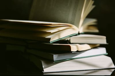 SEO optimalisatie - Référencement naturel