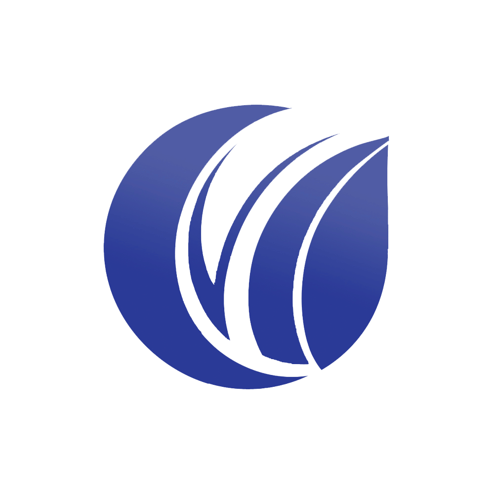 BSC Webdesign