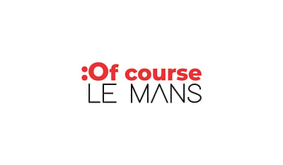 Le Mans Metropole - Formation Social Media - Onlinewerbung
