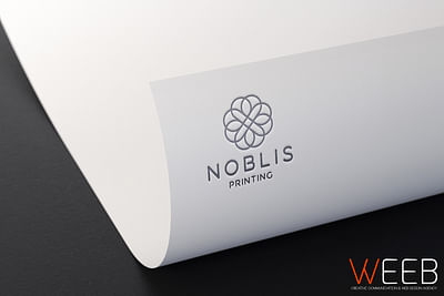 Noblis - Printing - Photographie