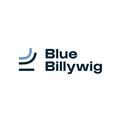 Rebranding Blue Billywig - Image de marque & branding