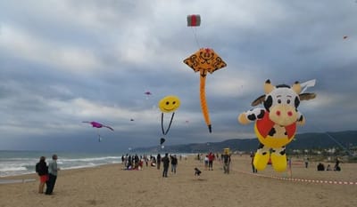 Evento Cometas por la paz - Evenement
